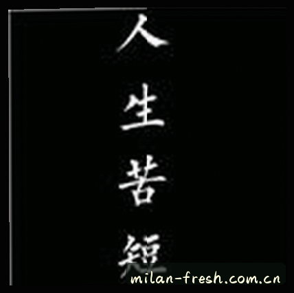 刘洋